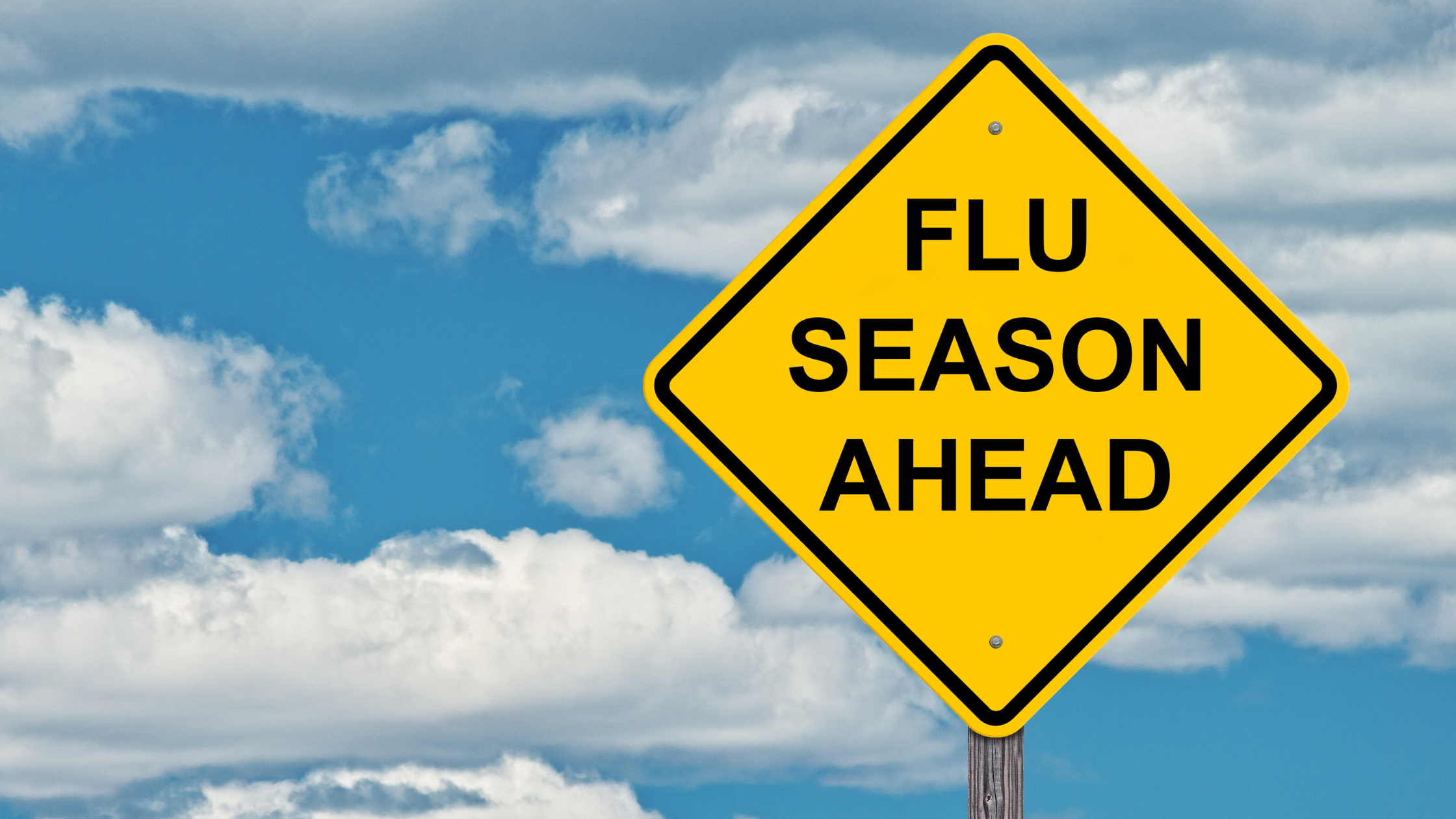 Importance of Having a Commercial Janitorial Company during Flu Season