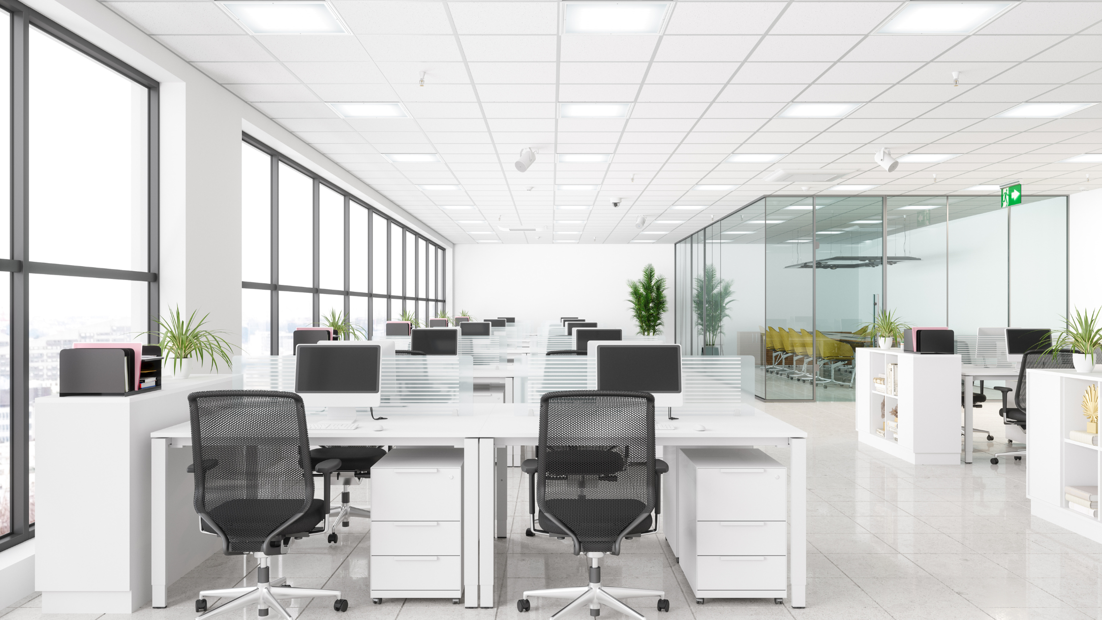 A Fresh Start: Spring Cleaning Tips for Offices